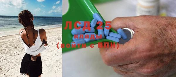 молекула духа Арсеньев