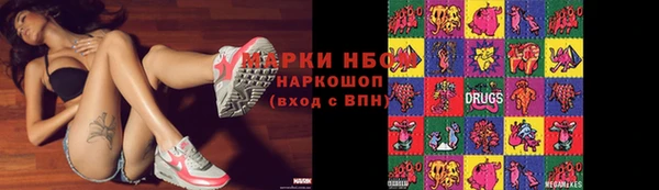 молекула духа Арсеньев