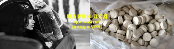 молекула духа Арсеньев