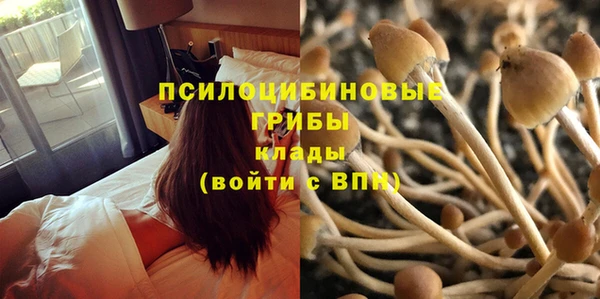 jwh Аркадак