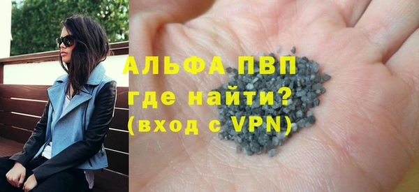 молекула духа Арсеньев