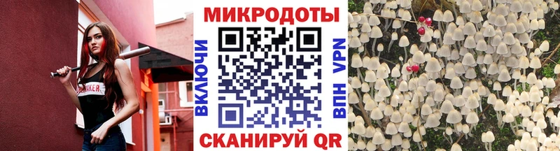 хочу наркоту  Рудня  Галлюциногенные грибы Magic Shrooms 
